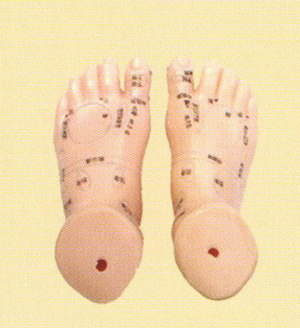 针灸足模